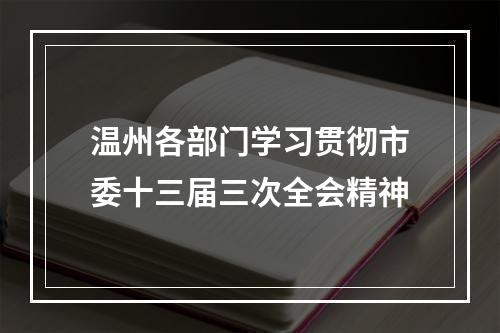 温州各部门学习贯彻市委十三届三次全会精神