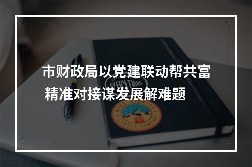 市财政局以党建联动帮共富 精准对接谋发展解难题