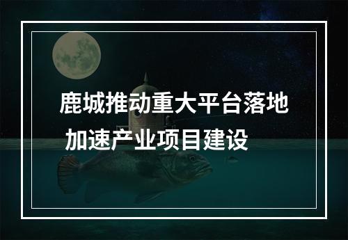 鹿城推动重大平台落地 加速产业项目建设