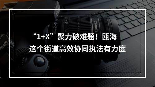 “1+X”聚力破难题！瓯海这个街道高效协同执法有力度