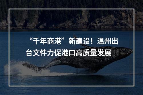 “千年商港”新建设！温州出台文件力促港口高质量发展