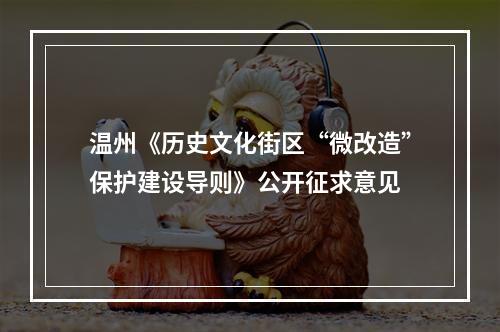 温州《历史文化街区“微改造”保护建设导则》公开征求意见
