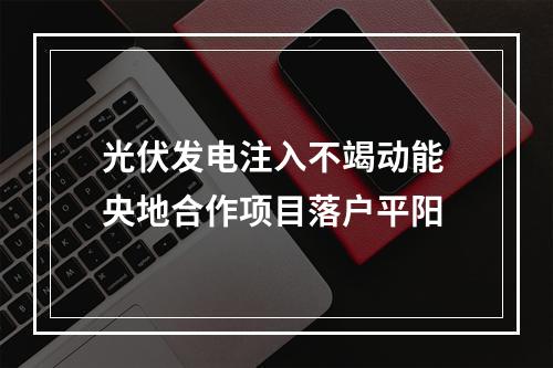 光伏发电注入不竭动能 央地合作项目落户平阳