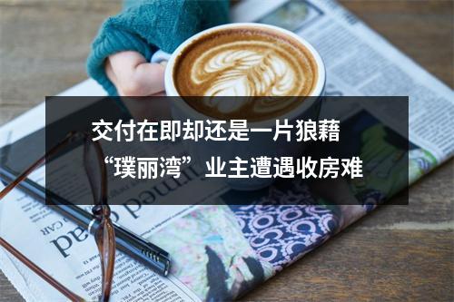 交付在即却还是一片狼藉  “璞丽湾”业主遭遇收房难