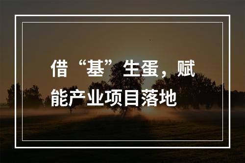 借“基”生蛋，赋能产业项目落地