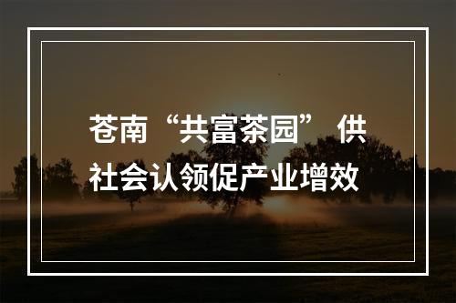苍南“共富茶园” 供社会认领促产业增效