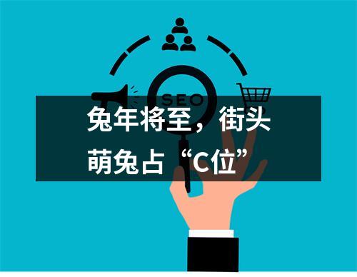 兔年将至，街头萌兔占“C位”