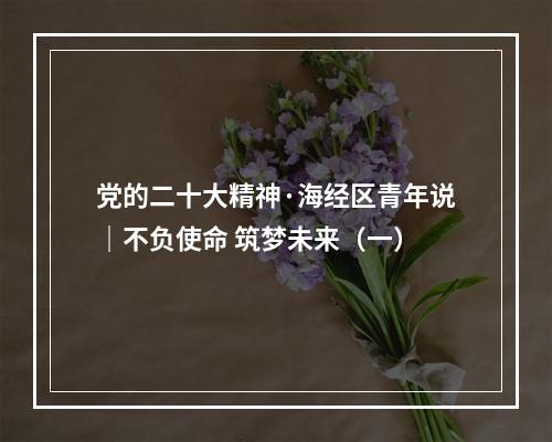 党的二十大精神·海经区青年说｜不负使命 筑梦未来（一）