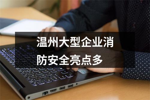 温州大型企业消防安全亮点多