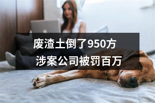 废渣土倒了950方 涉案公司被罚百万