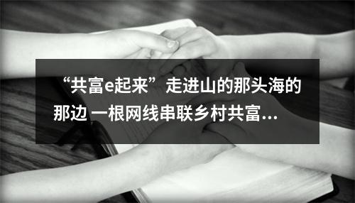 “共富e起来”走进山的那头海的那边 一根网线串联乡村共富梦