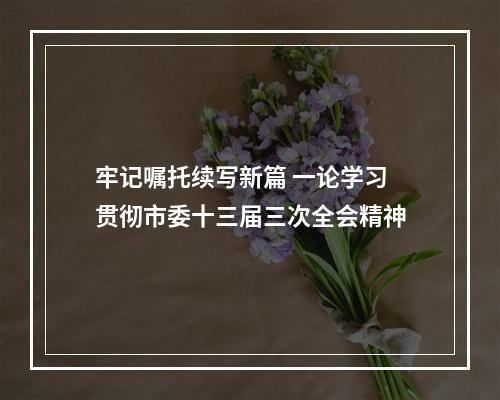 牢记嘱托续写新篇 一论学习贯彻市委十三届三次全会精神