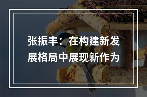 张振丰：在构建新发展格局中展现新作为
