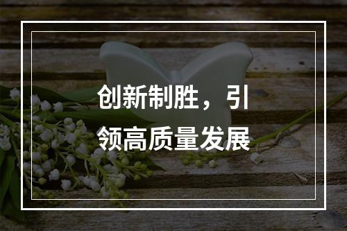 创新制胜，引领高质量发展