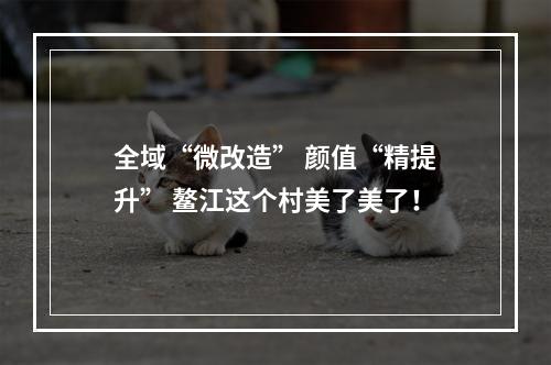 全域“微改造” 颜值“精提升” 鳌江这个村美了美了！