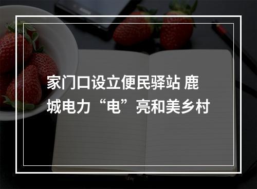 家门口设立便民驿站 鹿城电力“电”亮和美乡村