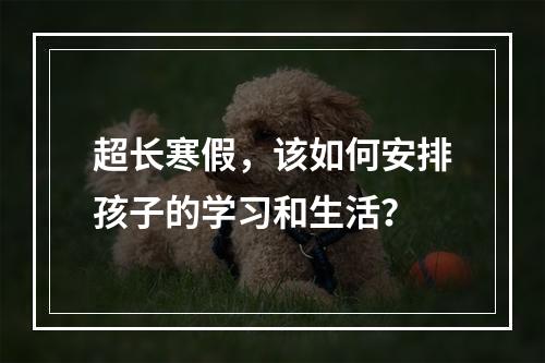 超长寒假，该如何安排孩子的学习和生活？