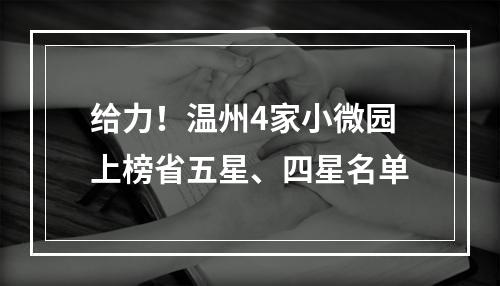 给力！温州4家小微园上榜省五星、四星名单