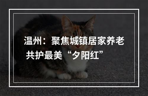 温州：聚焦城镇居家养老 共护最美“夕阳红”