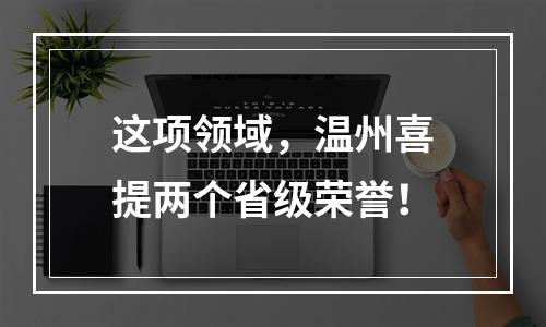 这项领域，温州喜提两个省级荣誉！