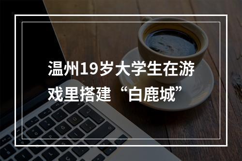 温州19岁大学生在游戏里搭建“白鹿城”