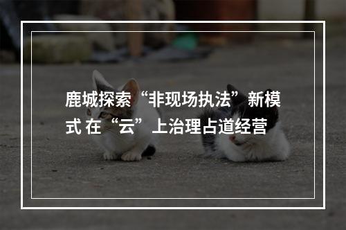 鹿城探索“非现场执法”新模式 在“云”上治理占道经营