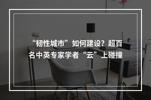 “韧性城市”如何建设？超百名中英专家学者“云”上碰撞