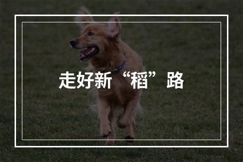 走好新“稻”路