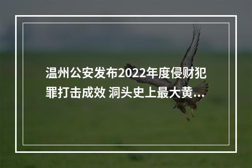 温州公安发布2022年度侵财犯罪打击成效 洞头史上最大黄金盗窃案告破