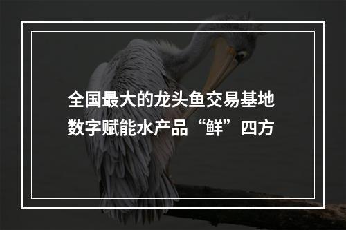 全国最大的龙头鱼交易基地 数字赋能水产品“鲜”四方