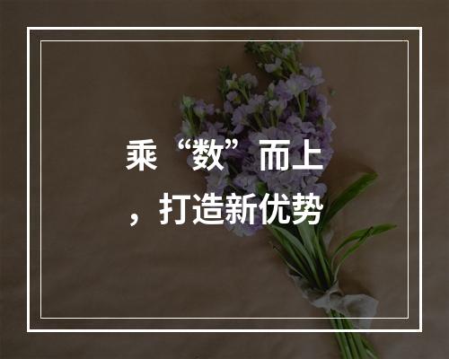 乘“数”而上，打造新优势