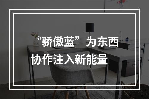 “骄傲蓝”为东西协作注入新能量