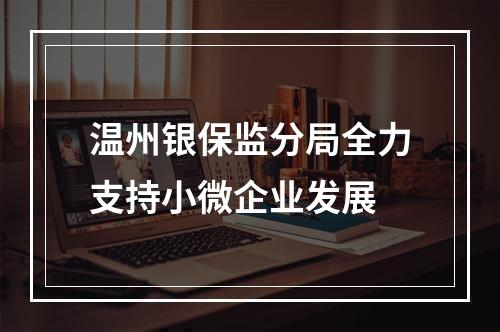温州银保监分局全力支持小微企业发展