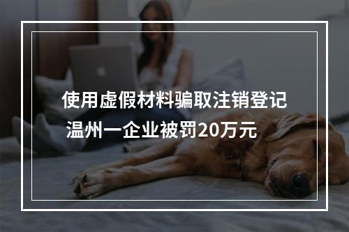 使用虚假材料骗取注销登记 温州一企业被罚20万元