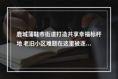 鹿城蒲鞋市街道打造共享幸福标杆地 老旧小区难题在这里被逐一破解