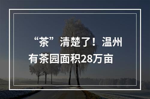 “茶”清楚了！温州有茶园面积28万亩