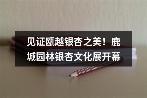 见证瓯越银杏之美！鹿城园林银杏文化展开幕