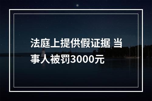 法庭上提供假证据 当事人被罚3000元