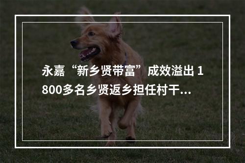永嘉“新乡贤带富”成效溢出 1800多名乡贤返乡担任村干部