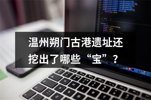 温州朔门古港遗址还挖出了哪些“宝”？