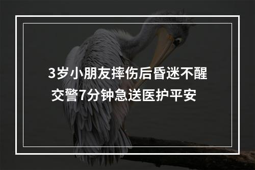 3岁小朋友摔伤后昏迷不醒 交警7分钟急送医护平安