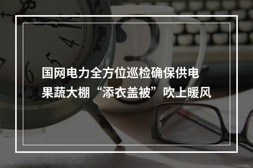 国网电力全方位巡检确保供电 果蔬大棚“添衣盖被”吹上暖风