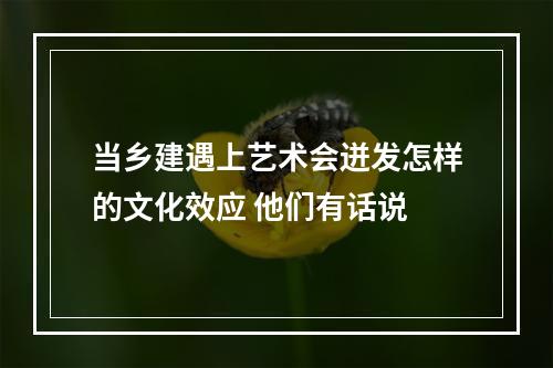 当乡建遇上艺术会迸发怎样的文化效应 他们有话说
