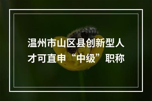 温州市山区县创新型人才可直申“中级”职称