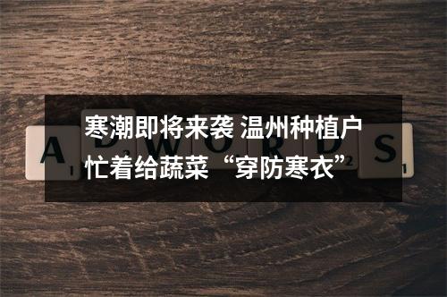 寒潮即将来袭 温州种植户忙着给蔬菜“穿防寒衣”