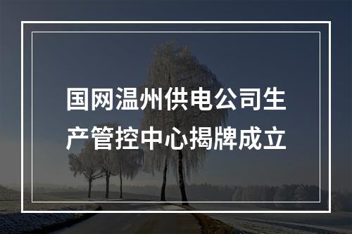 国网温州供电公司生产管控中心揭牌成立