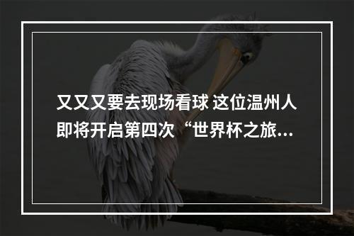 又又又要去现场看球 这位温州人即将开启第四次“世界杯之旅”