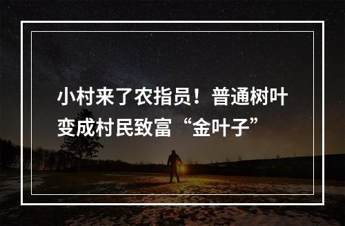 小村来了农指员！普通树叶变成村民致富“金叶子”