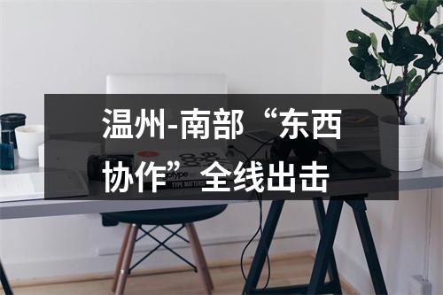 温州-南部“东西协作”全线出击