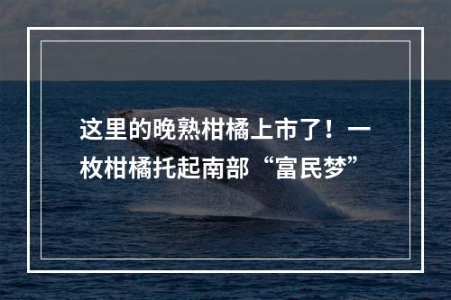 这里的晚熟柑橘上市了！一枚柑橘托起南部“富民梦”